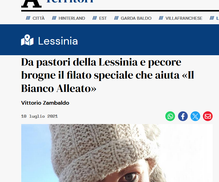 articolo l'arena