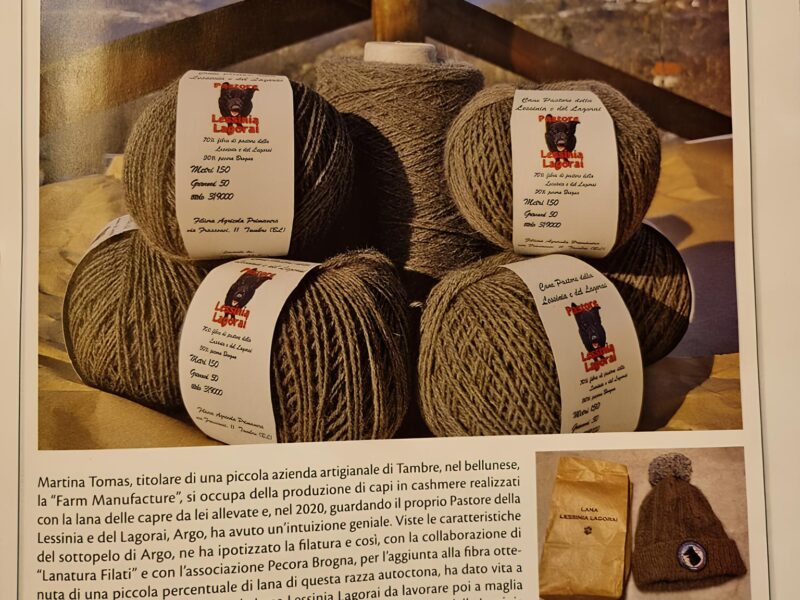 Una Lana davvero speciale di Quattrozampe