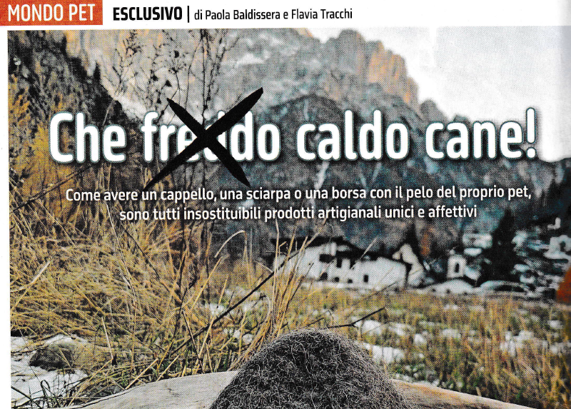 copertina Rivista Quattrozampe Che Freddo Caldo Cane