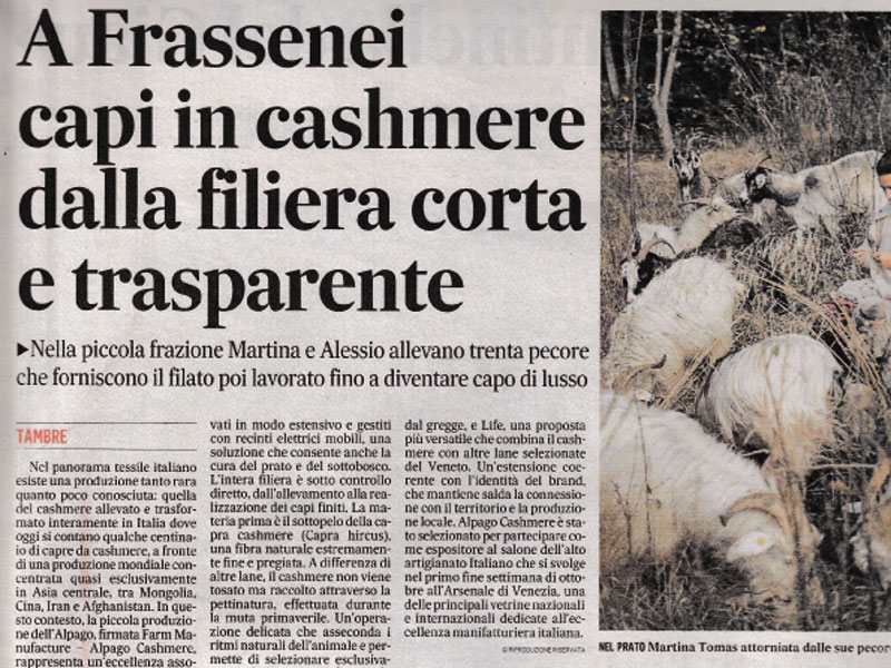 Gazzettino 30 gennaio 2026