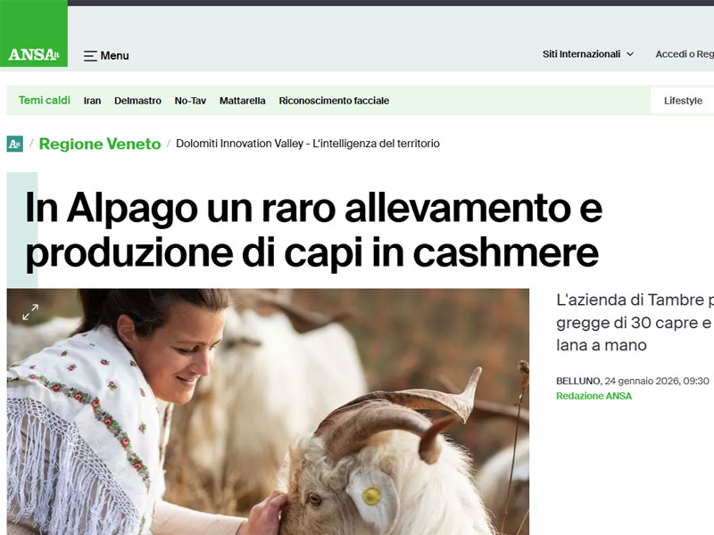 In Alpago un raro allevamento e produzione di capi in cashmere ANSA