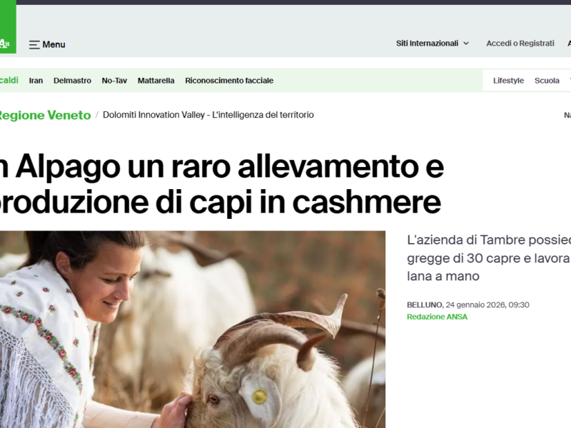 In Alpago un raro allevamento e produzione di capi in cashmere ANSA